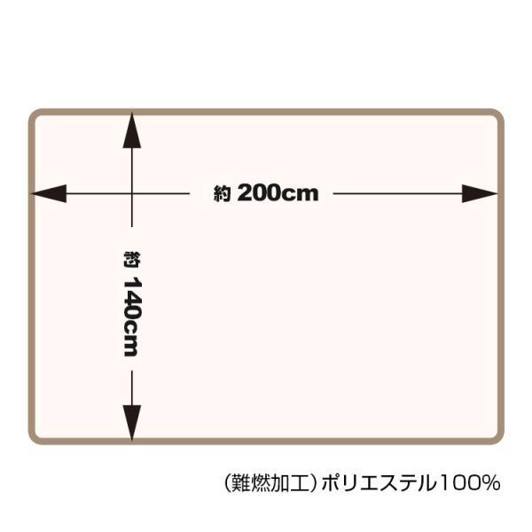 災害備蓄用 BR-944 真空パック 難燃 不織布 毛布 認定ラベル付 サイズ140×200cm 防災用 台風や地震などの自然災害時 避難時 |  | 03