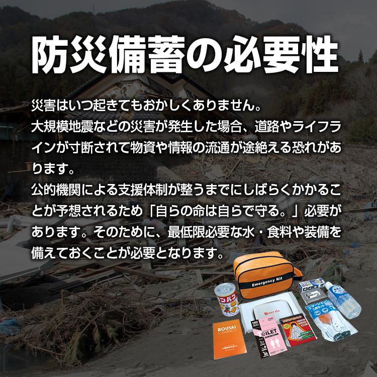 送料無料！ポーチタイプの緊急避難防災セット (防災メーカー厳選品)「エマージェンシーキット防災18点セット BR-971」非常用持ち出し袋/非常持出しセット｜brain｜03