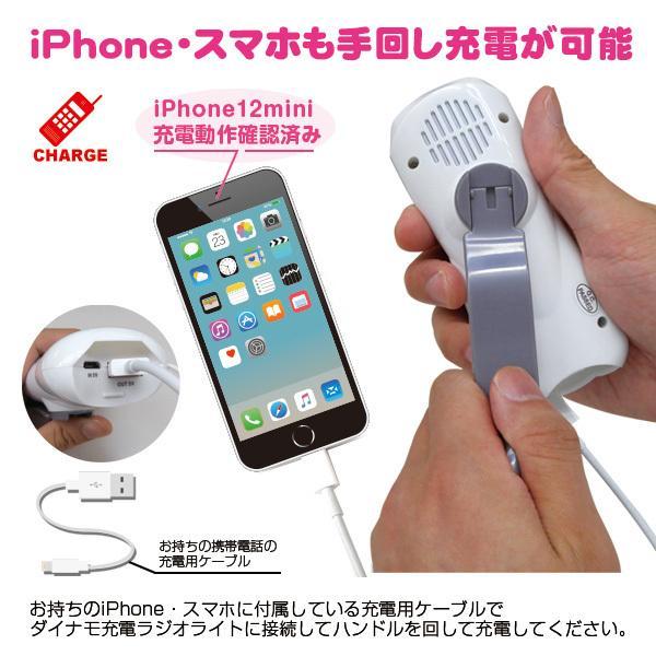 手回し充電ラジオライト BR-976 USB搭載 スマートフォンも充電可能 台風や地震などの自然災害時 避難時 キャンプ アウトドアに | ブレイン | 03