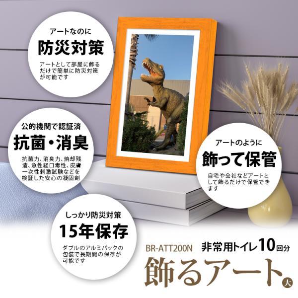 ブレイン 15年保存 日本製 飾るアート 非常用トイレ10回分+アート
