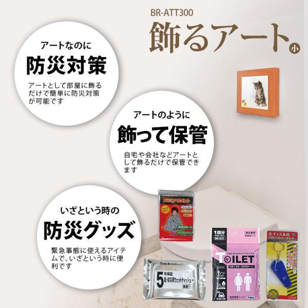 ブレイン 飾るアート防災4点セット+アートポスター ネコ 1枚 BR-ATT300