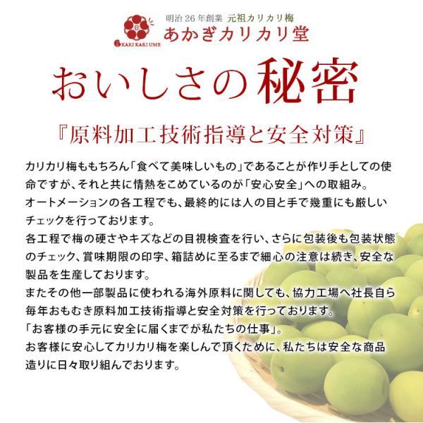 熱中症対策 種とりカリカリ梅 (種なし) 210g 2026年製 赤城フーズ