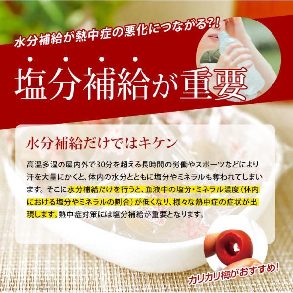 熱中症対策 種とりカリカリ梅 (種なし) 210g 2026年製 赤城フーズ