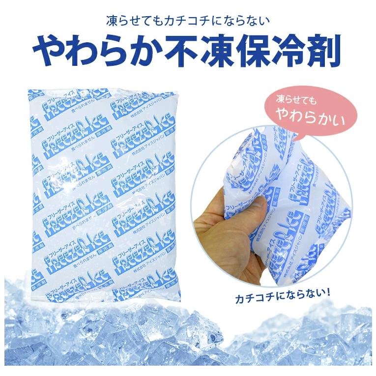 不凍保冷剤 カチコチにならない 2個セット 1個あたり約200g 約115×160mm ブレイン　（メール便で発送） |  | 01