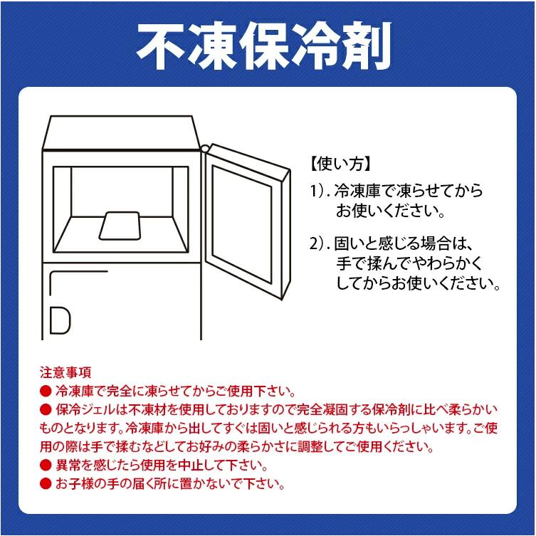 不凍保冷剤 カチコチにならない 2個セット 1個あたり約200g 約115×160mm ブレイン　（メール便で発送） |  | 02
