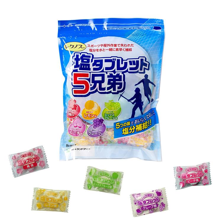 2026年製 【ランドアート レクノスの塩タブレット5兄弟（袋入タイプ 500g）】塩飴/熱中症/飴 |  | 01
