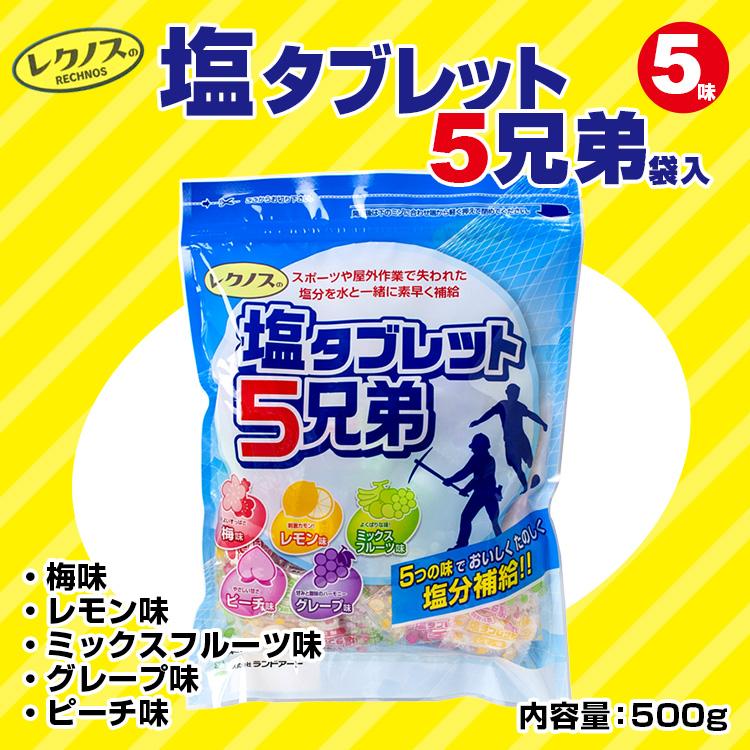 2026年製 【ランドアート レクノスの塩タブレット5兄弟（袋入タイプ 500g）】塩飴/熱中症/飴 |  | 02