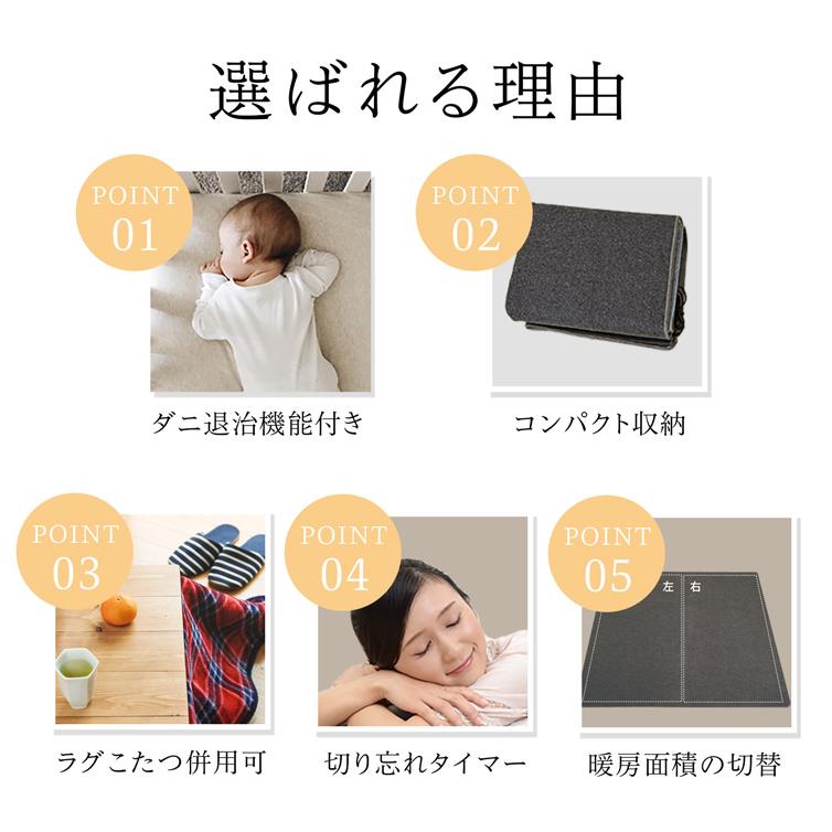 TEKNOS（テクノス） TEKNOS TWA-3002B ホットカーペット 3畳用 すべり
