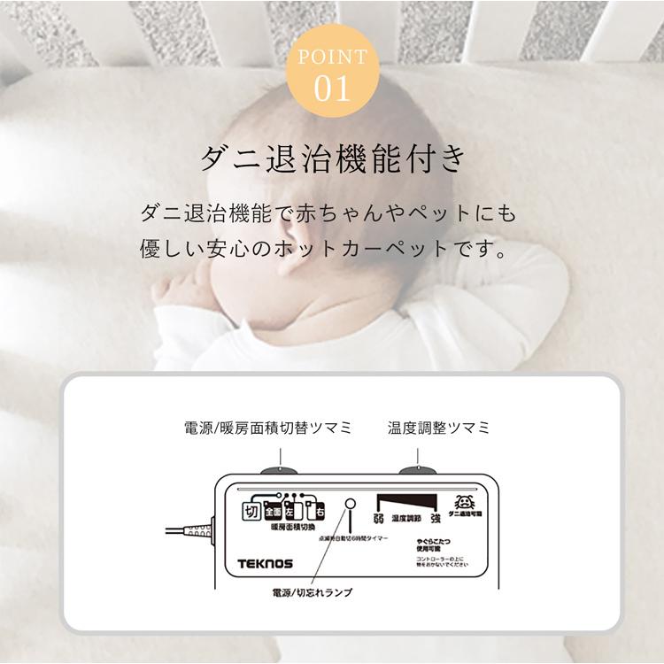 TEKNOS（テクノス） TEKNOS TWA-3002B ホットカーペット 3畳用 すべり
