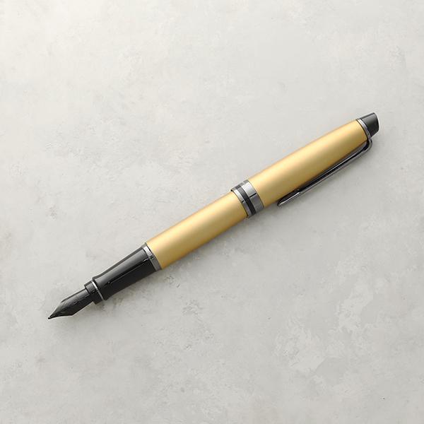 WATERMAN（ウォーターマン） 【ポイント10倍】ウォーターマン WATERMAN
