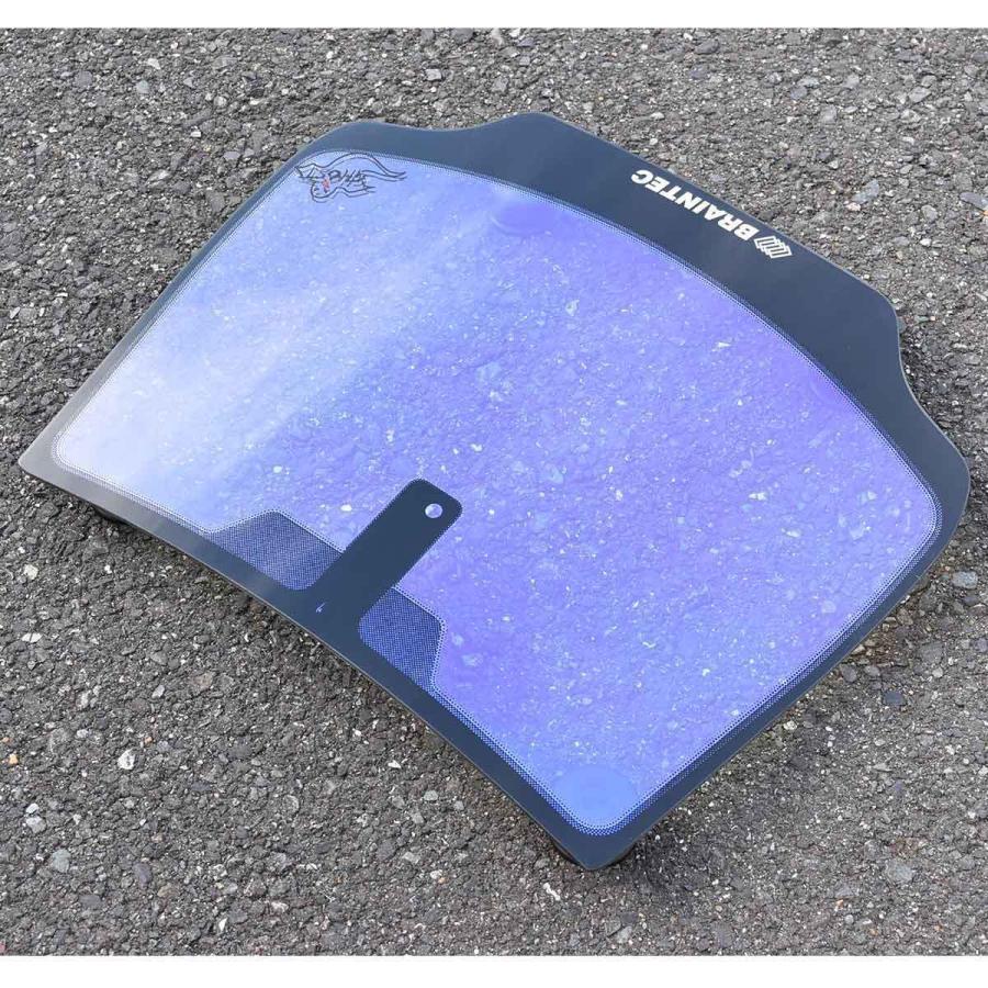 BRAINTEC Braintec AR86(SHINE)シャインゴースト 1m幅×長さ30m