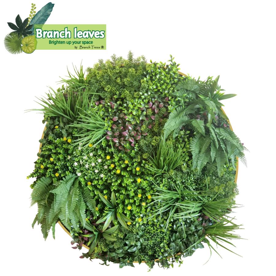 Branch leaves ウォールグリーン 直径100cm 円形 額縁付き CCGF006V033 壁掛け 人工観葉植物 フェイクグリーン インテリア装飾 by Branch Trees（Yahoo!・Branch Shop）