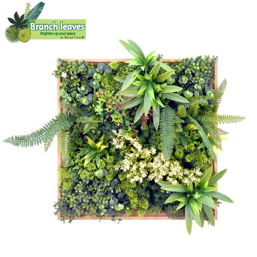 Branch leaves ウォールグリーン 50cm×50cm 額縁 フレーム付き 