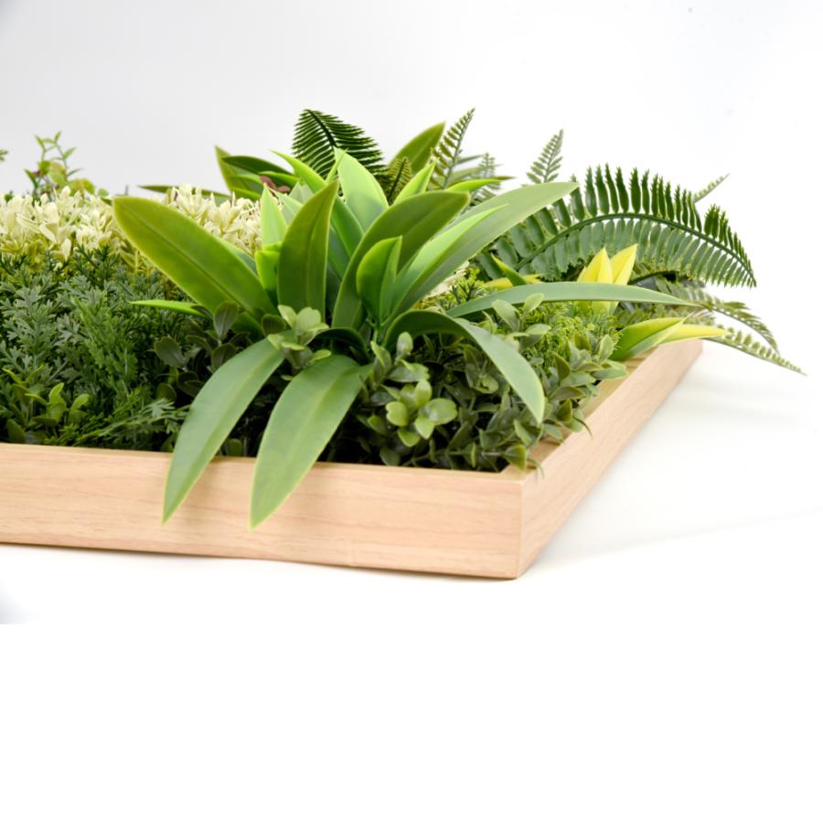 Branch leaves ウォールグリーン 50cm×50cm 額縁 フレーム付き 