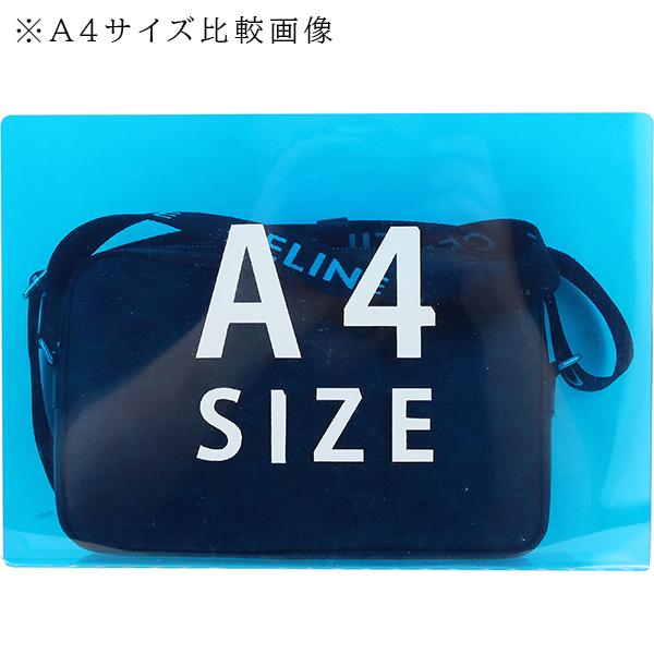 TRIOMPHE セリーヌ ショルダーバッグ ミディアム メッセンジャー