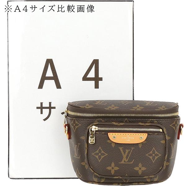 LOUIS VUITTON ルイヴィトン ショルダーバッグ レディース LOUIS VUITTON ルイヴィトン ショルダーバッグ レディース