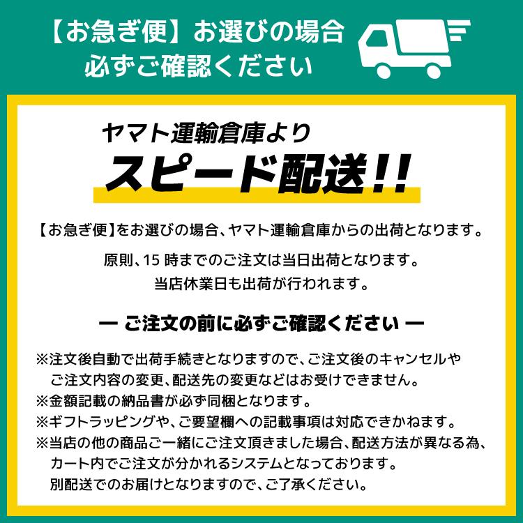 オーシャンパシフィック スキー ゴーグル スノーゴーグル スノーボード スノボ ミラー 平面ダブルレンズ メンズ レディース  OCEAN PACIFIC OP 6822 UVカット｜brand-sunglasshouse｜18