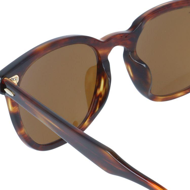 Ray-Ban（レイバン） サングラス ホークアイ レギュラーフィット Ray