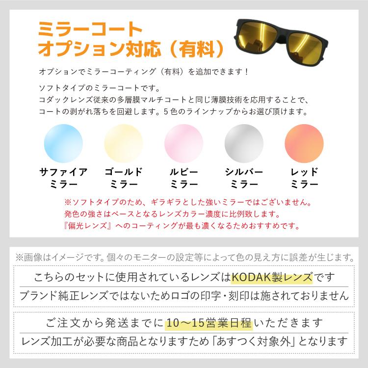 Ray-Ban（レイバン） 偏光 サングラス レンズセット エリカ RB4171F