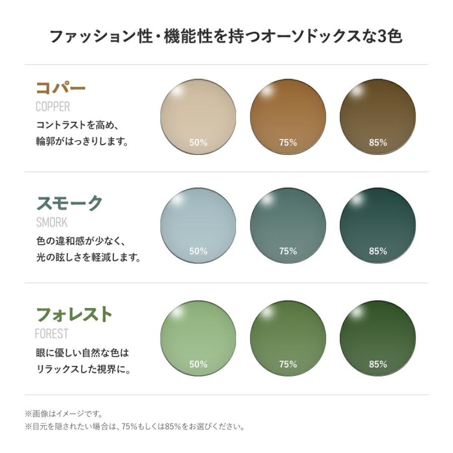 SWANS（スワンズ） 度付きサングラスセット サングラス 国内正規品