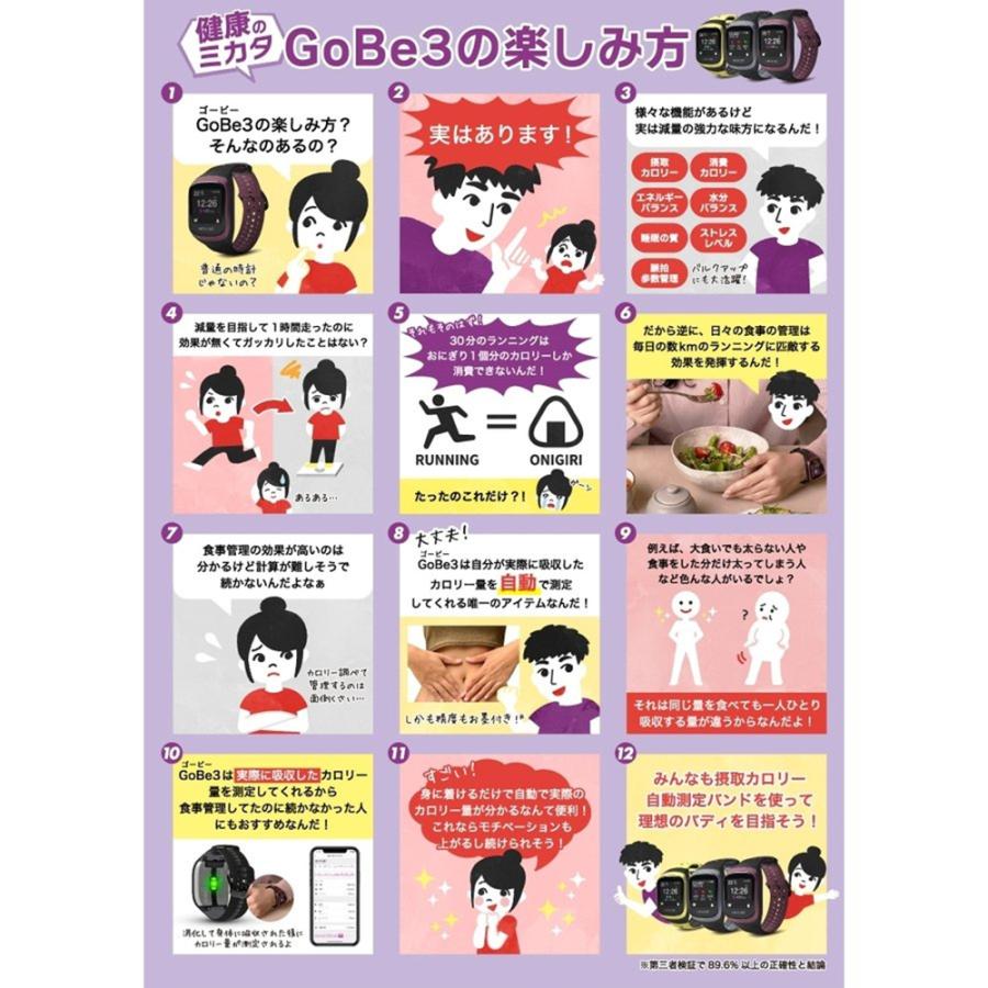 HEALBE カロリー自動計測 ヒールビー GoBe3 ゴービー スマート HEALBE カロリー自動計測 ヒールビー GoBe3 ゴービー スマート
