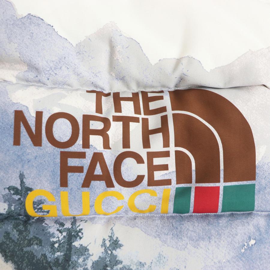 【美品】GUCCI×THE NORTH FACE グッチ×ザ ノースフェイス GUCCI × THE NORTH FACE グッチ ノースフェイス FAUX FUR