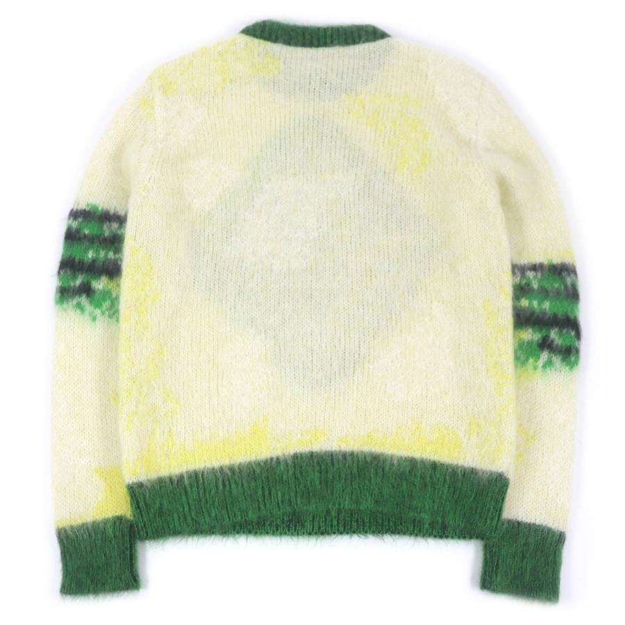 極美品□DIOR Peter Doig ディオールオム ピータードイグ 21AW