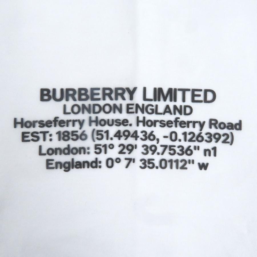 BURBERRY（バーバリー） 極美品□BURBERRY 8042749 リカルドティッシ期 