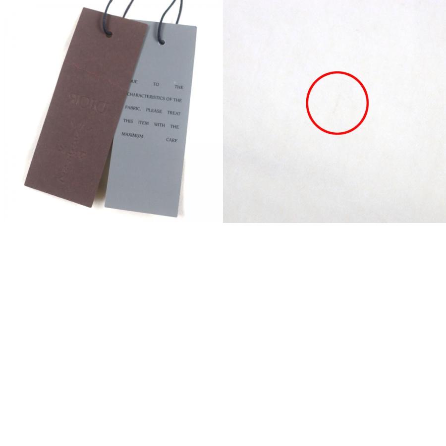 極美品▽DIOR ディオールオム カクタスジャック トラヴィススコット