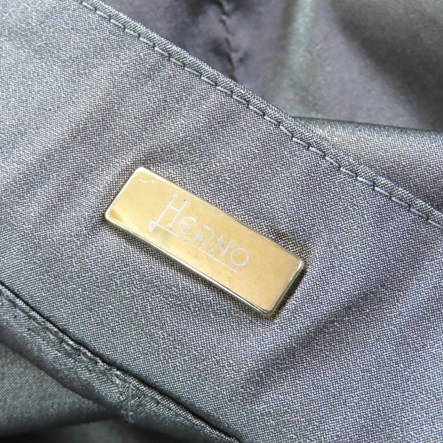 HERNO（ヘルノ） 極美品△Herno GC0182D ロゴプレート フード付き