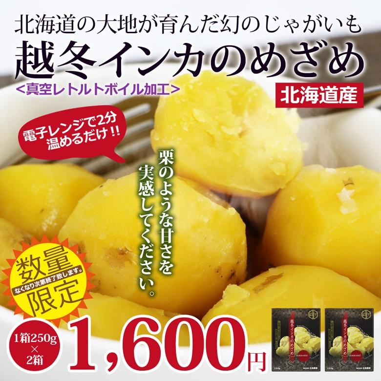 幻のじゃがいも 越冬インカのめざめ 500g 北海道の大地が育んだ 幻のじゃがいも 流通量が少なく希少なジャガイモ 蒸し芋 250g 2 Hka2set Online Shop Vivi 通販 Yahoo ショッピング