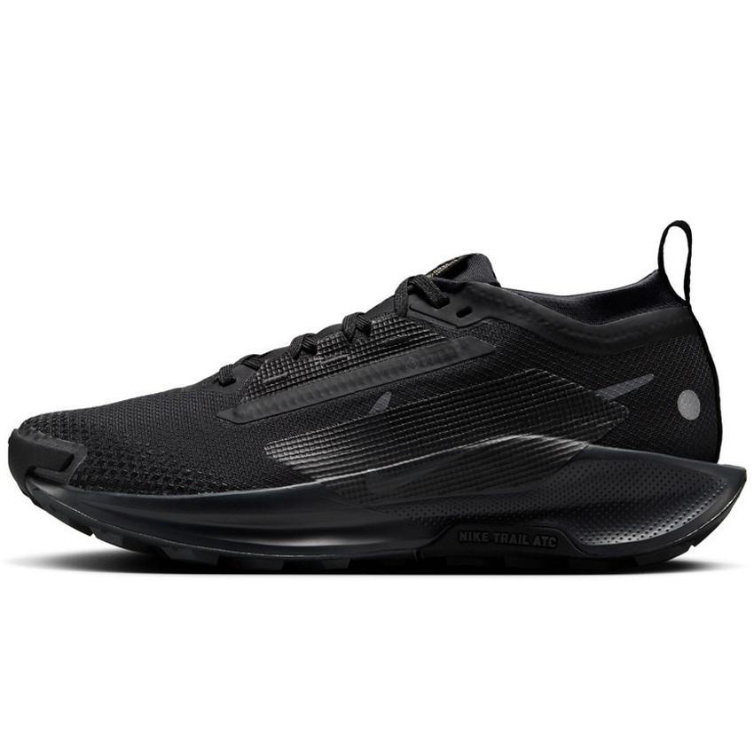 NIKE（ナイキ） 女性 レディース シューズ W PEGASUS TRAIL 5 GORE-TEX 