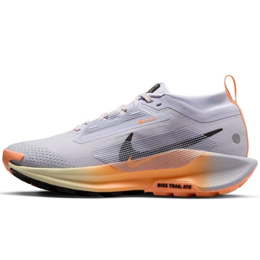 NIKE（ナイキ） 女性 レディース シューズ W PEGASUS TRAIL 5 GTX