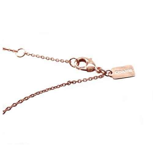 COACH コーチ ネックレス 新作 新品 シグネチャー ライン COACH コーチ ネックレス 新作 新品 シグネチャー ライン