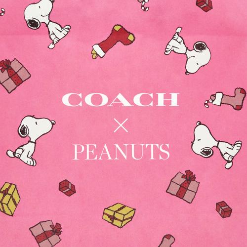 COACH（コーチ） 【メール便送料無料】コーチ 紙袋 スヌーピー PEANUTS