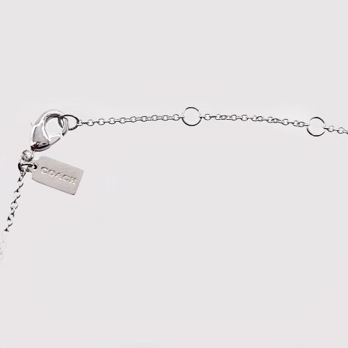 COACH コーチ ネックレス 新作 新品 シグネチャー ライン COACH コーチ ネックレス 新作 新品 シグネチャー ライン
