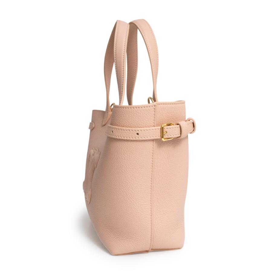 CELINE（セリーヌ） （新品・未使用品）セリーヌ ミニ カバ アナイス