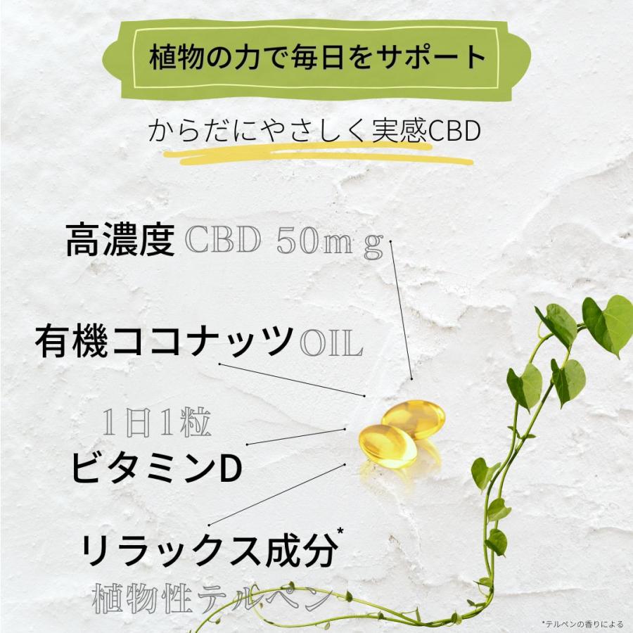 高濃度 CBD サプリメント 1粒50mg 1500mg スリープエッセンス 30粒入