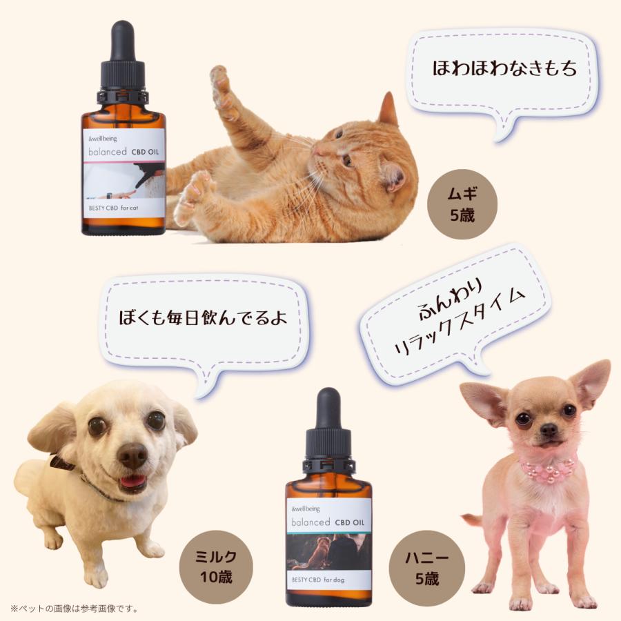 猫 犬 ペット用 CBDオイル CBD 300mg 日本製 アマニオイル テルペン 猫用CBDオイル 犬用CBDオイル ペット用CBDオイル 老犬 老猫 フード 亜麻仁オイル BESTY CBD｜branddepot｜07