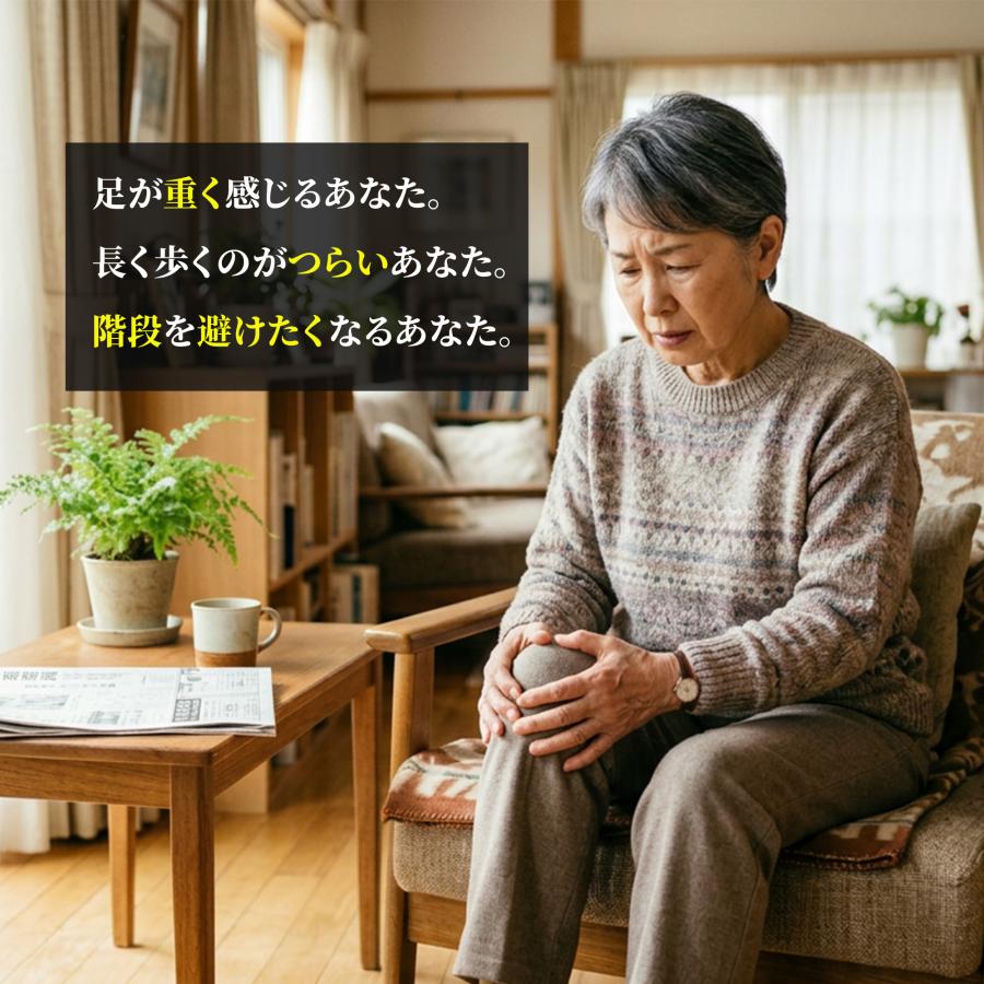 乗るだけ健康器具♪　JOBA 乗るだけエクササイズ「シェイカーバイブプレート」 (送料無料