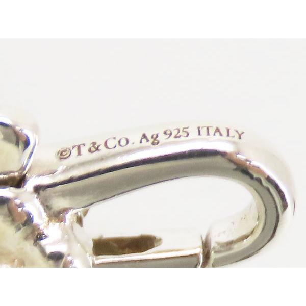 TIFFANY&Co.（ティファニー） 新品仕上げ ハードウェア マイクロ 