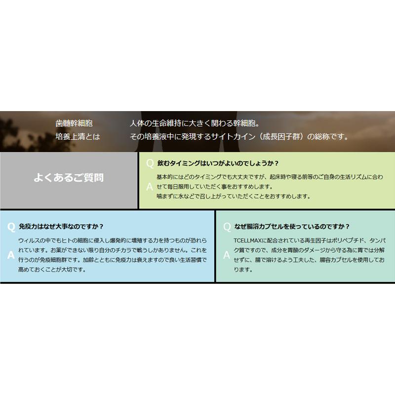 TCELLMAX Infinite rebirth factor サプリメント 国産 カプセル