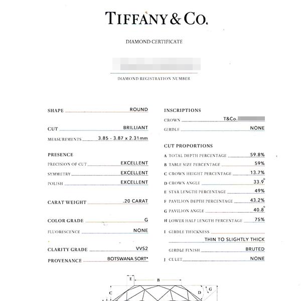 ティファニー ネックレス レディース バイザヤード ネックレス D0.2ct G-VVS2-3Ex ゴールド TIFFANY 750YG 中古 | Diamonds By The Yard | 07