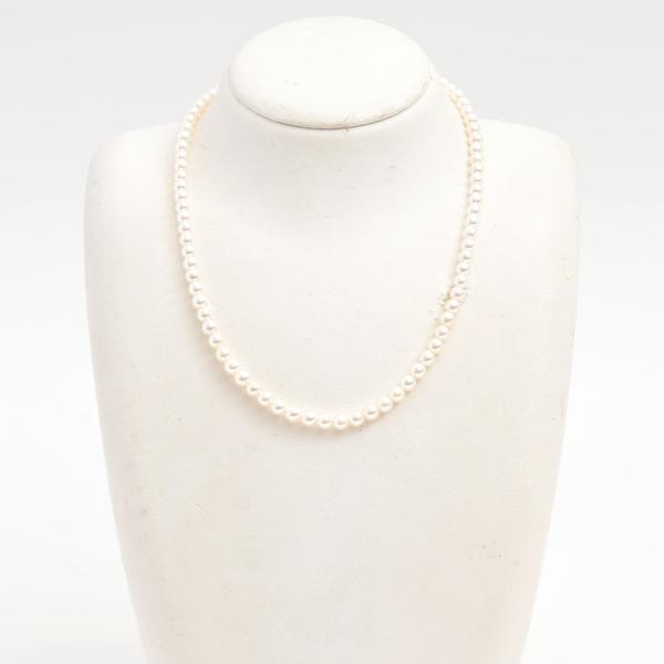 TASAKI（タサキ） ネックレス レディース プチ パール ネックレス