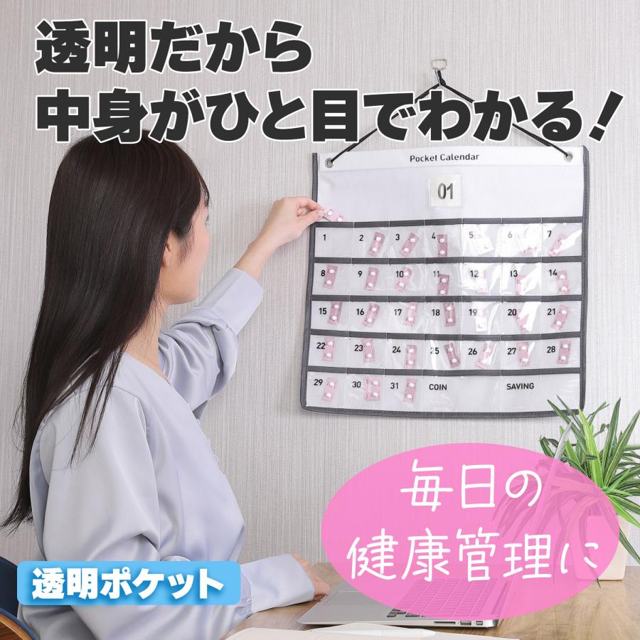 お薬カレンダー ポケット 1ヶ月 壁掛けカレンダー 毎日ずっと使える
