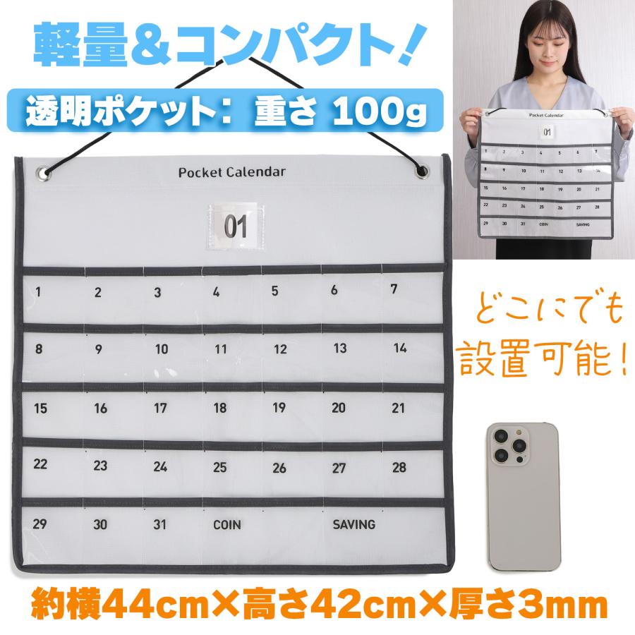 お薬カレンダー ポケット 1ヶ月 壁掛けカレンダー 毎日ずっと使える