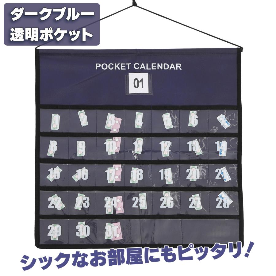 お薬カレンダー ポケット 1ヶ月 壁掛けカレンダー 毎日ずっと使える