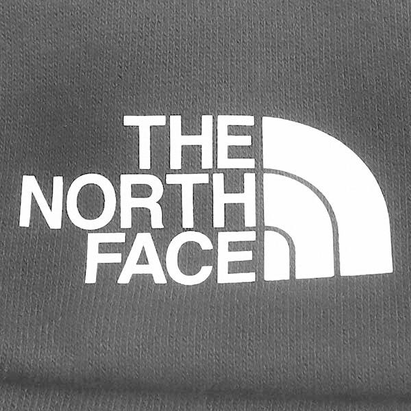 THE NORTH FACE（ザ ノースフェイス） パーカー メンズ ロゴ フーディ