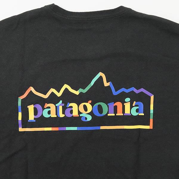 patagonia パタゴニア Patagonia Tシャツ メンズ ユニティ