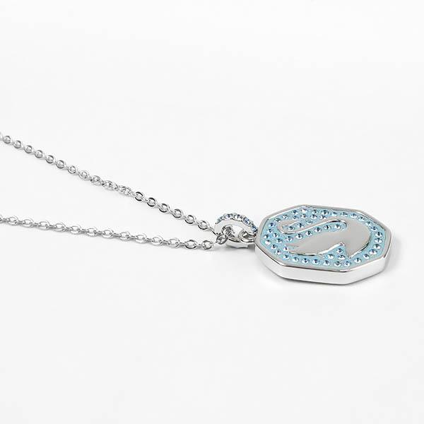 SWAROVSKI（スワロフスキー） ネックレス レディース Signum スワンモチーフ プレート ペンダント シルバー ブルー ...